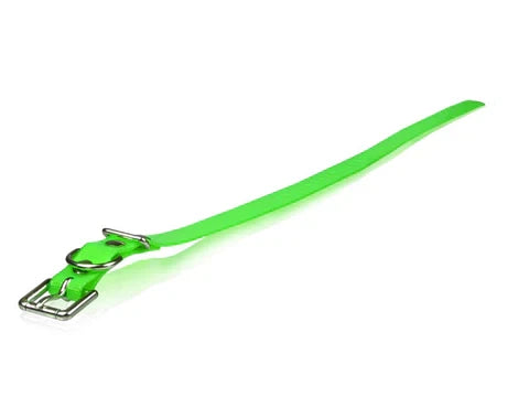 Dogtra Extra Dog Collar Strap Green 1" x 30"