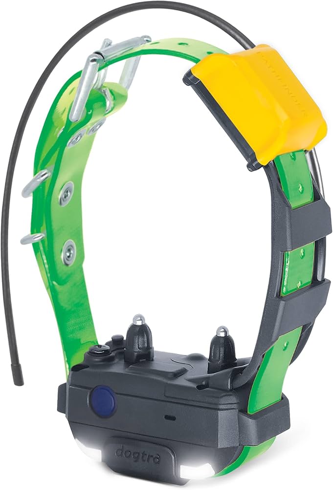Dogtra Extra Dog Collar Strap Green 1" x 30"