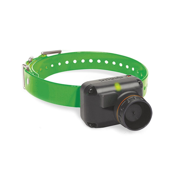 Dogtra Extra Dog Collar Strap Green 1" x 30"
