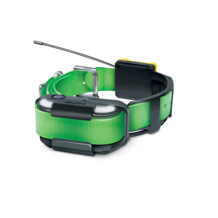 Dogtra Extra Dog Collar Strap Green 1" x 30"