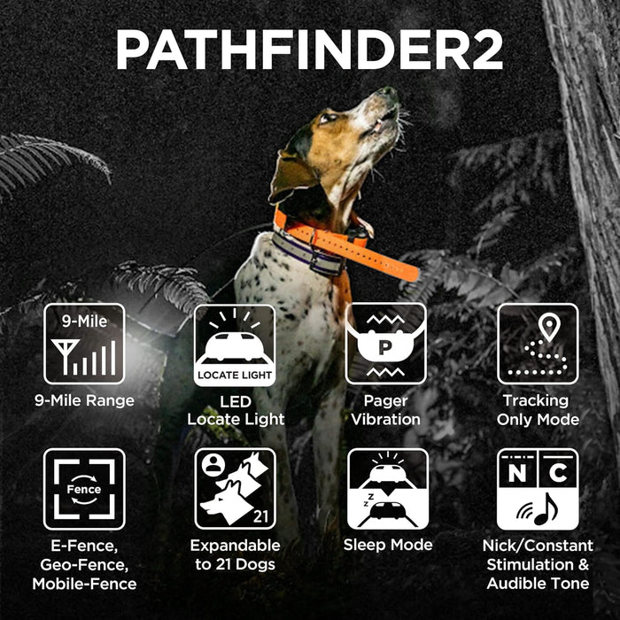Dogtra Pathfinder2 GPS Dog Tracker & Training Collar Green