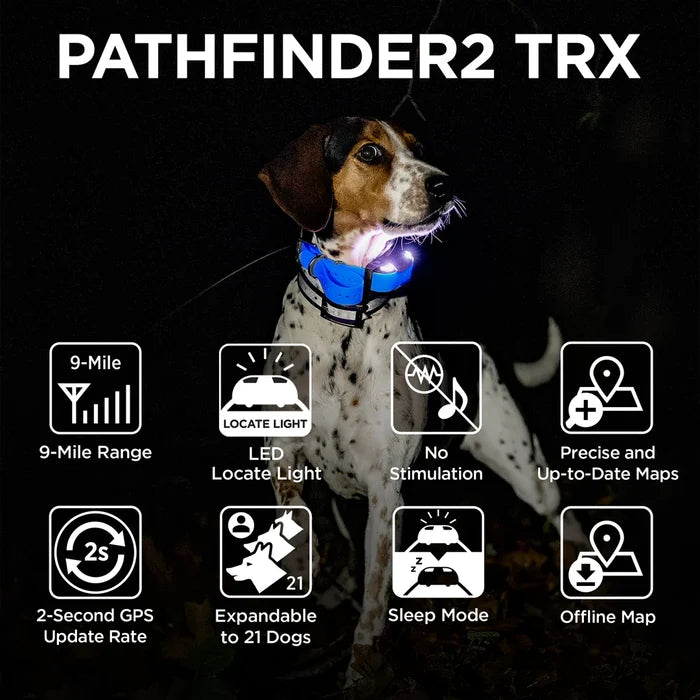 Dogtra Pathfinder2 Trx Extra Receiver Collar Blue