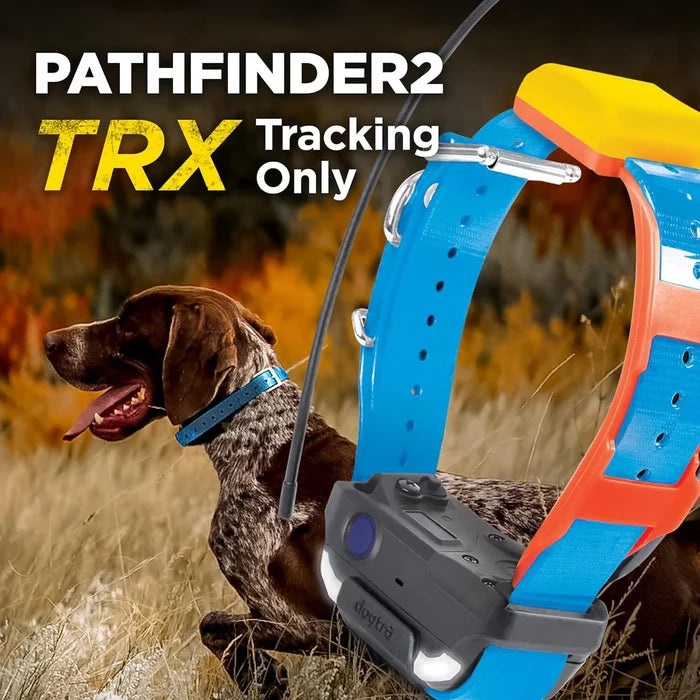 Dogtra Pathfinder2 Trx Extra Receiver Collar Blue