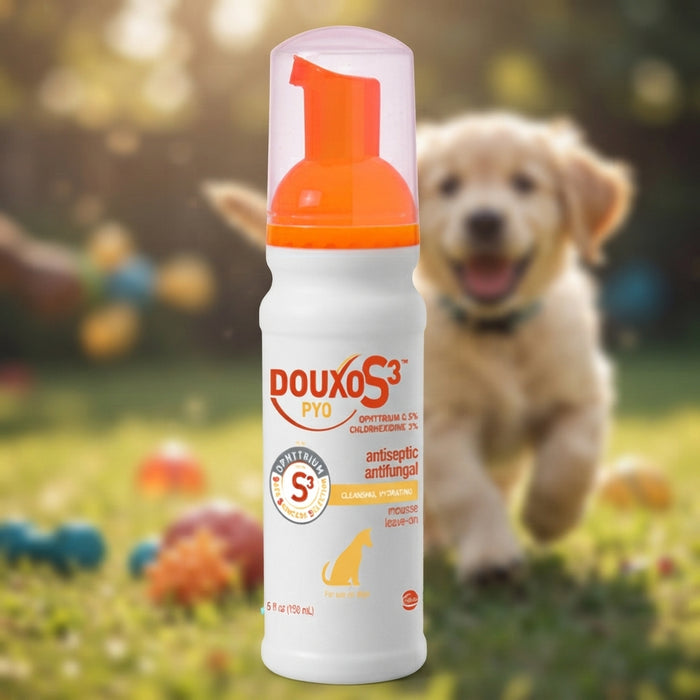 Douxo S3 PYO Mousse Dogs No-Rinse Skin Coat Care 5.1 oz