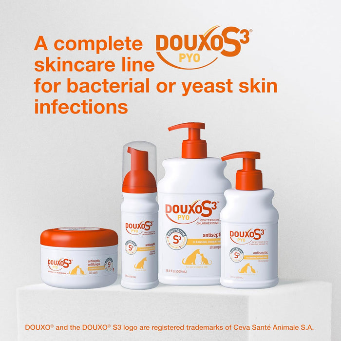Douxo S3 PYO Mousse Dogs No-Rinse Skin Coat Care 5.1 oz
