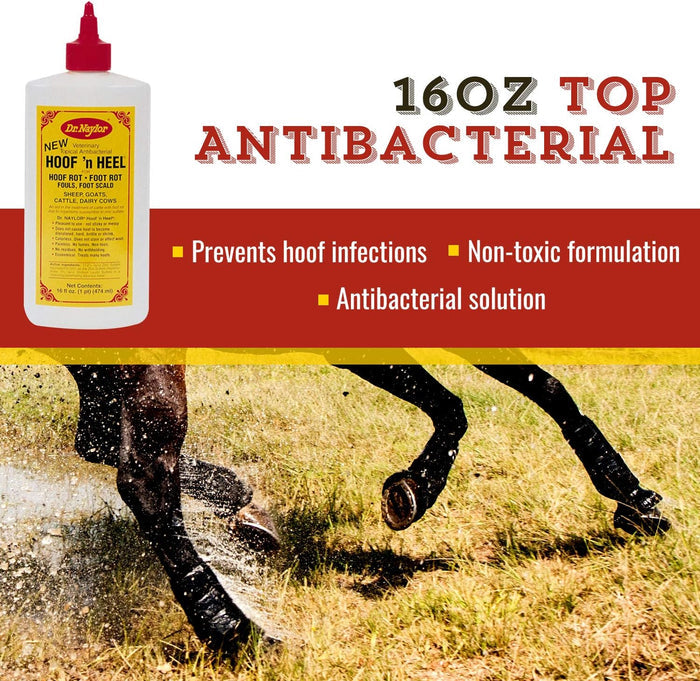 Dr. Naylor Hoof 'n Heel Thrush Hoof Care Livestock 16 oz.