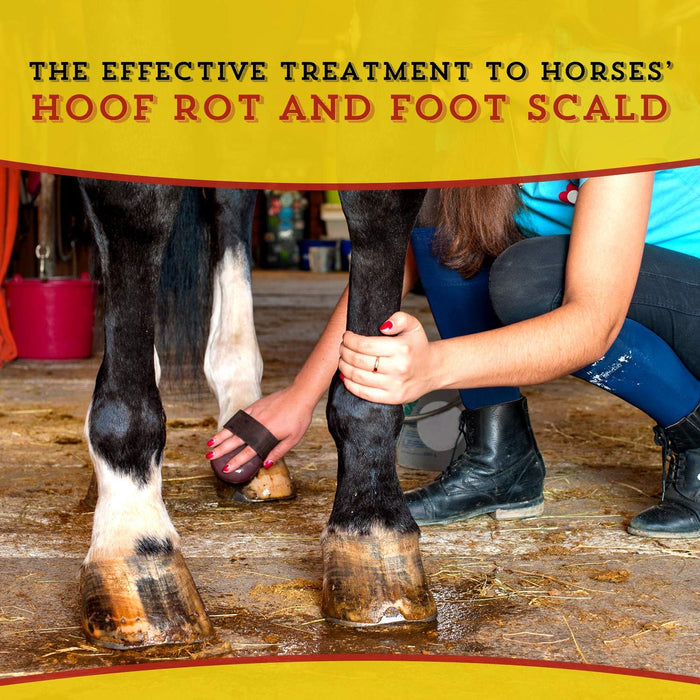 Dr. Naylor Hoof 'n Heel Thrush Hoof Care Livestock 16 oz.