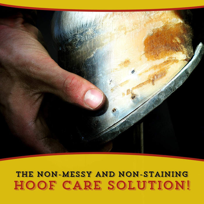Dr. Naylor Hoof 'n Heel Thrush Hoof Care Livestock 16 oz.