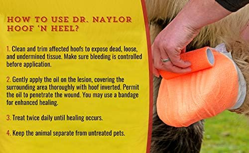Dr. Naylor Hoof 'n Heel Thrush Hoof Care Livestock 16 oz.