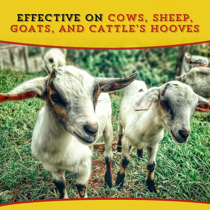 Dr. Naylor Hoof 'n Heel Thrush Hoof Care Livestock 16 oz.