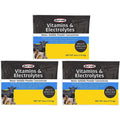 Durvet Vitamins & Electrolytes Concentrate 4 oz. 3-Pack Durvet