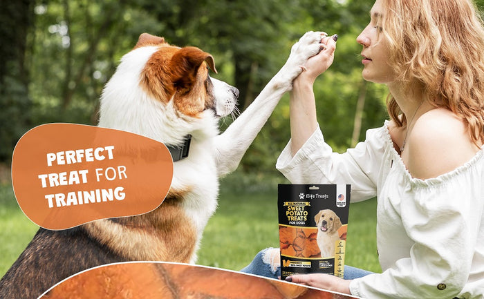 Elite Treats Sweet Potato Dog Treats USA Made Grain-Free 6 oz.