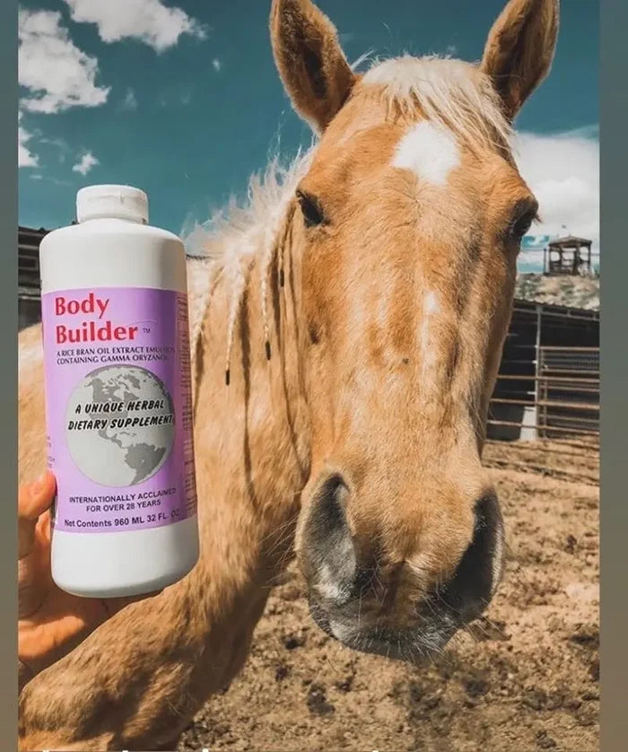 Equiade Body Builder Oil Supplement 32 oz. Coat Shine & Muscle Support for Animals
