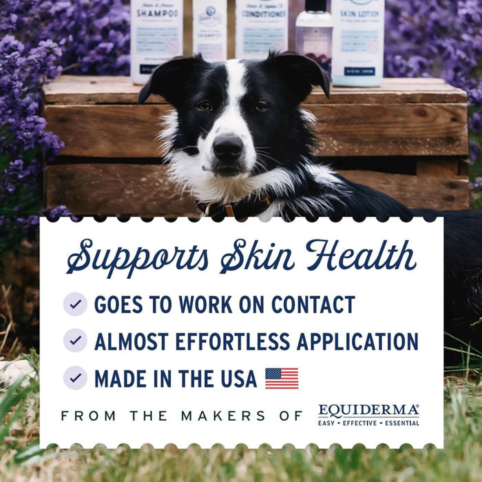 Equiderma Barn Dog Skin Lotion Topical Solution for Dogs 16 oz.