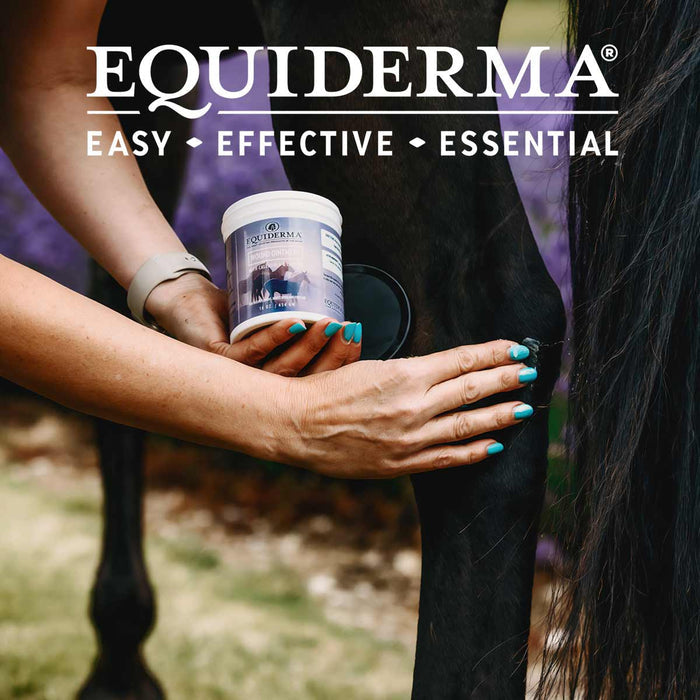 Equiderma Wound Ointment for Horses Skin Care Formula 16 oz.