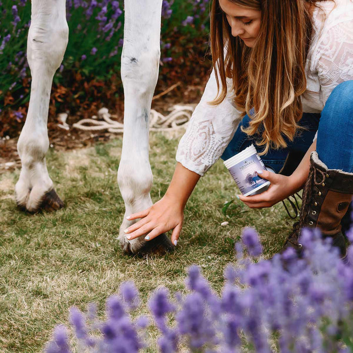 Equiderma Wound Ointment for Horses Skin Care Formula 16 oz.