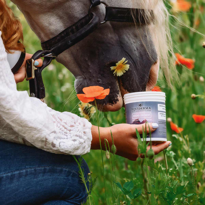 Equiderma Wound Ointment for Horses Skin Care Formula 16 oz.