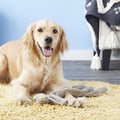 Ethical Pet Skinneeez Rabbit Stuffless Squeaky Dog Toy 23-Inch