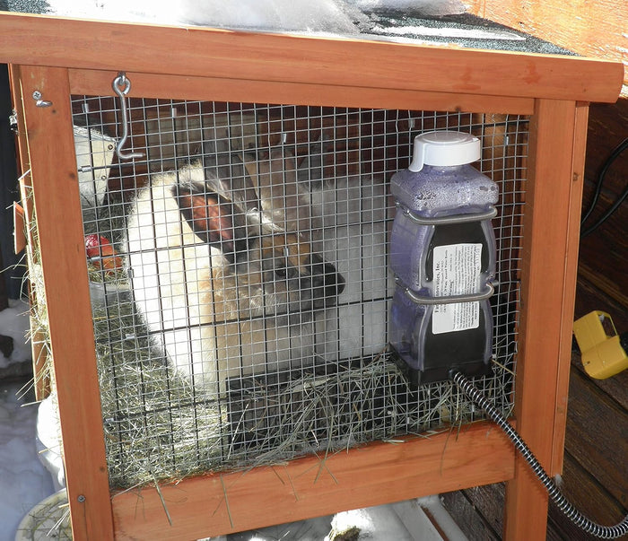 Farm Innovators HRB-20 Heated Water Bottle 32oz for Rabbits & Small Pets
