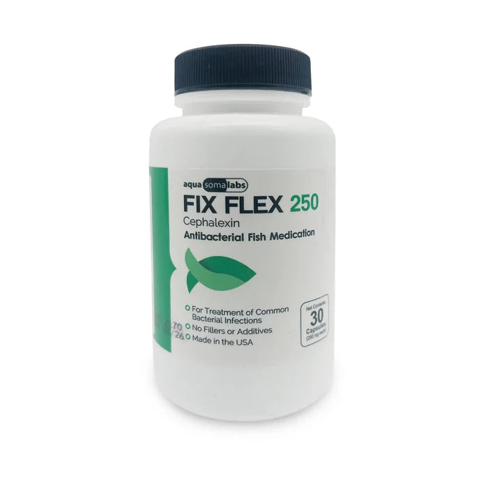 Fish Ceph 250mg Capsules for Aquarium Fish – 30 Count – Water Care Support