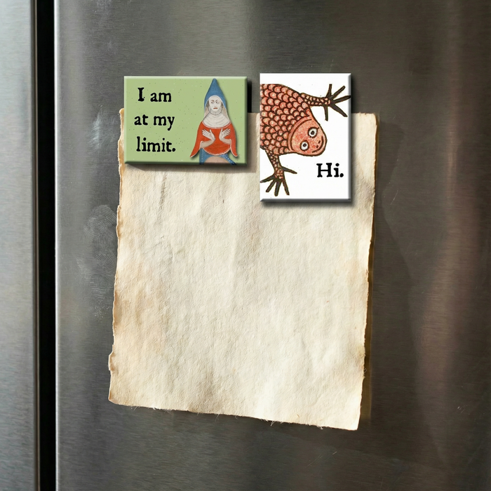 Froggy Says Hi Medieval Marginalia Refrigerator Magnet | Funny History Magnet