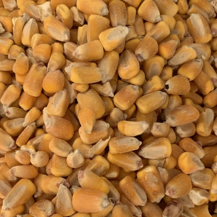 Furst-McNess Apple Flavored Deer Corn Wildlife Attractant Game Feed 40lbs.