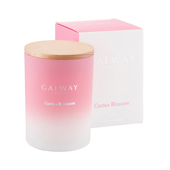 Galway Living Cactus Blossom Candle