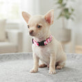 Guardian Gear Camo Dog Collar Neck Durable Nylon Quick Release Buckle Pink