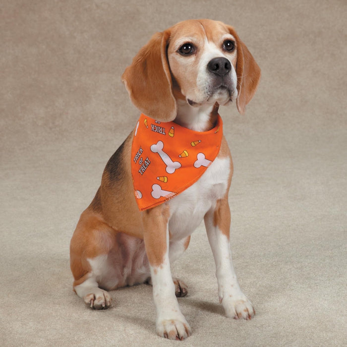 Halloween Aria Trick Treat Dog Bandana Bones Candy Fun Accessory