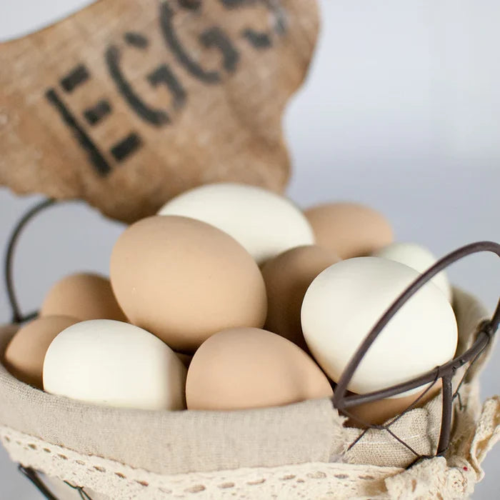 Happy Hen Treats Ceramic Nest Eggs Realistic Fake Eggs for Chicken Nest Boxes