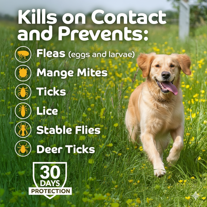 Happy Jack Kennel Dip II 8oz. Dogs Fleas Ticks Lice Mange 30-Day Control