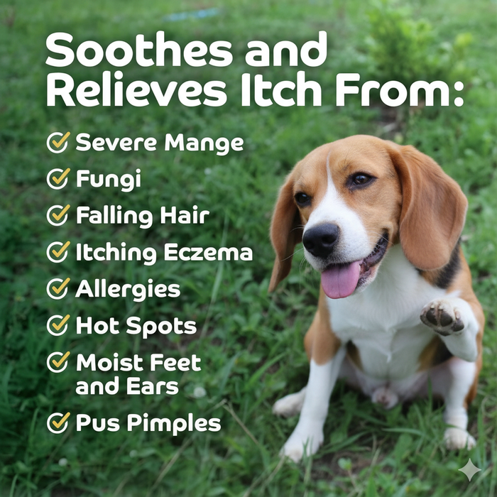 Happy Jack Sarcoptic Mange 8oz Dog Medicine 28% Sulfur Hot Spots Eczema Relief