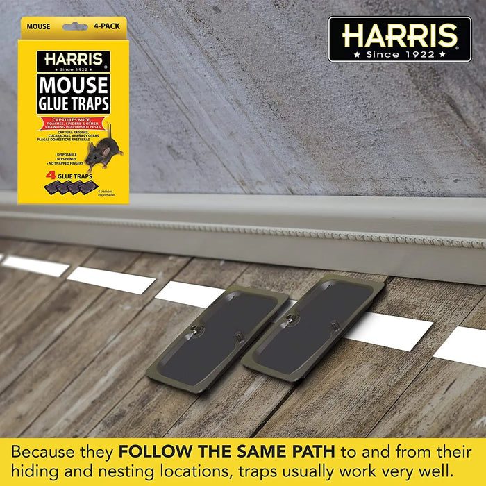 Harris Pre-Baited Mouse Glue Traps, Fully Disposable 4-Pack Harris