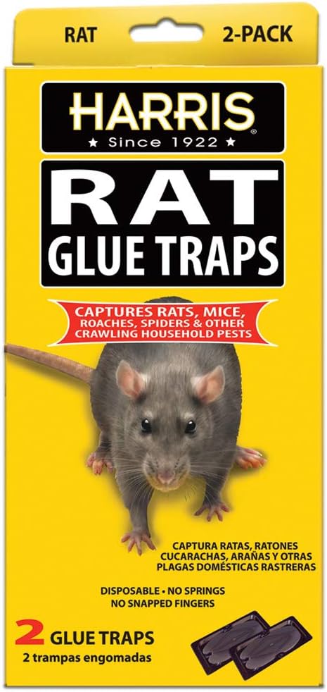 Harris Rat Glue Traps 2 Pack Large Sticky Boards for Rats Mice Roaches Spiders