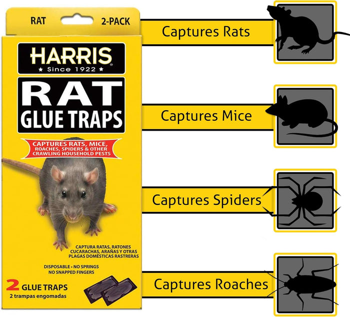 Harris Rat Glue Traps 2 Pack Large Sticky Boards for Rats Mice Roaches Spiders