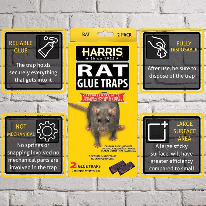 Harris Rat Glue Traps 2 Pack Large Sticky Boards for Rats Mice Roaches Spiders