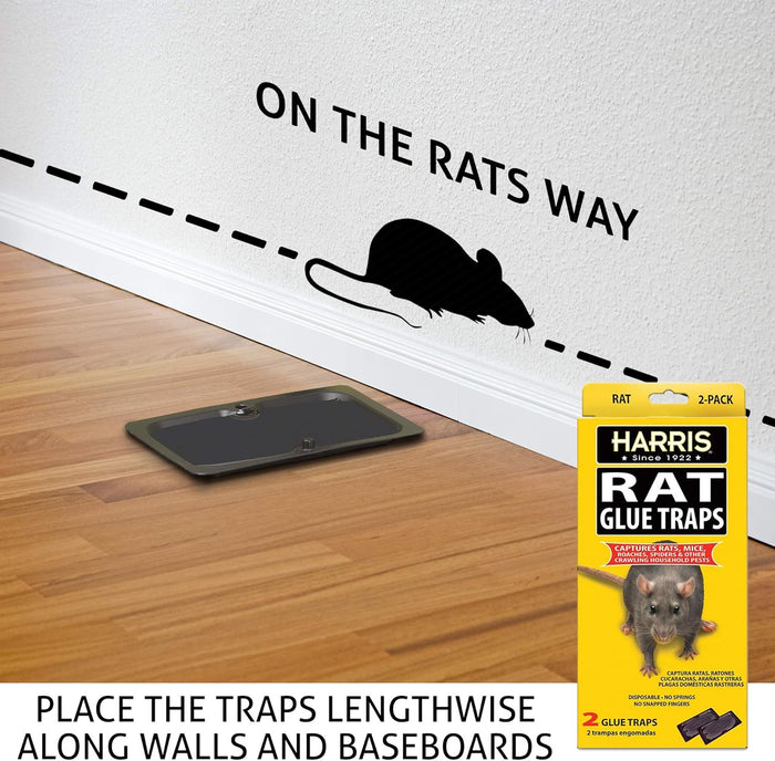 Harris Rat Glue Traps 2 Pack Large Sticky Boards for Rats Mice Roaches Spiders