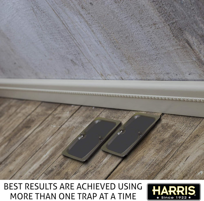 Harris Rat Glue Traps 2 Pack Large Sticky Boards for Rats Mice Roaches Spiders