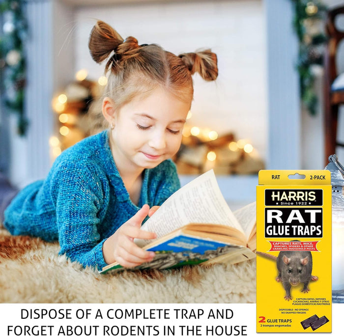 Harris Rat Glue Traps 2 Pack Large Sticky Boards for Rats Mice Roaches Spiders