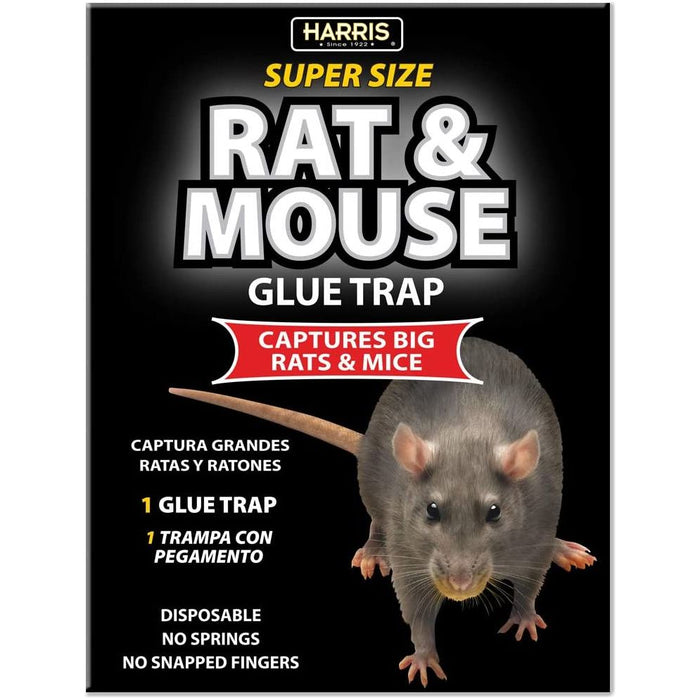 HARRIS Rat and Mouse Glue Trap, Super Size Harris