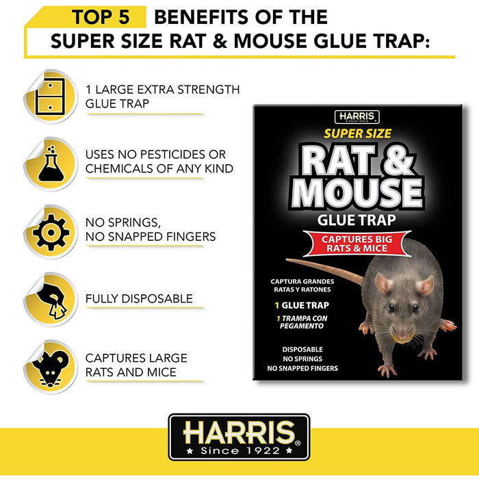 HARRIS Rat and Mouse Glue Trap, Super Size Harris
