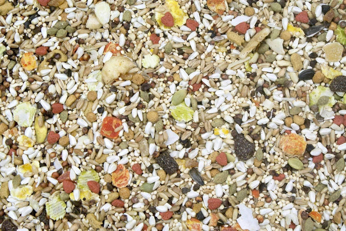 Higgins Safflower Gold Conure & Cockatiel Bird Food 3lbs. 2-Pack
