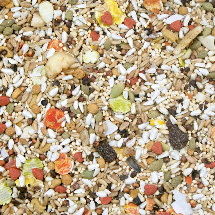 Higgins Safflower Gold Conure Cockatiel Lovebird Food 3lb No Sunflower Peanuts