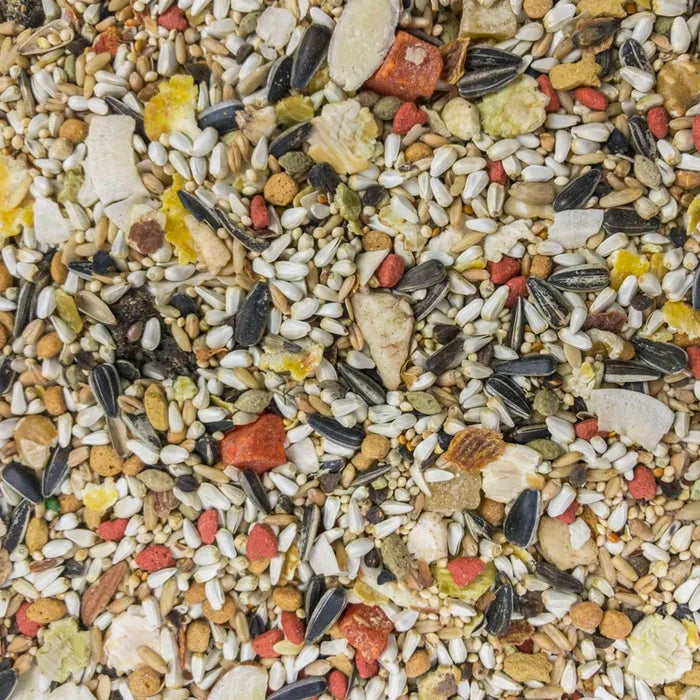 Higgins Sunburst Gourmet Blend Conure Bird Food 3lbs.
