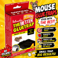 Intruder The Better Mouse Glue Traps Small Black 4-Pack