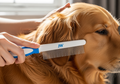 Jw Grip Soft Flea Pet Comb, Grey/yellow Plastic Grip Handle Easy to Use