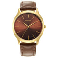 Karishma Radiance Brown Dial Analog Watch for Men 1825YL04
