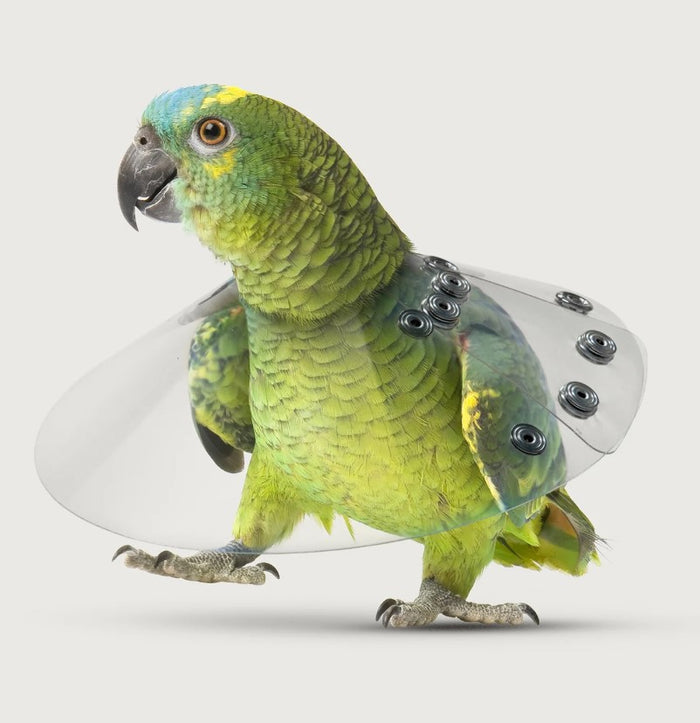 KVP Elizabethan Bird Saf-T Avian Cone Neck E-Collar 2.0"-2.75" 6" Diameter SS406XS