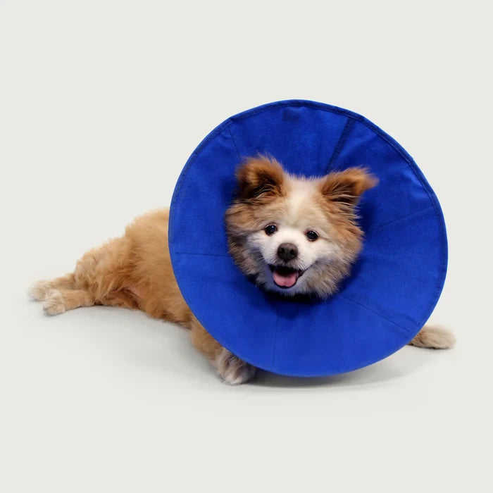 KVP EZ Soft Pet Cloth Recovery Collar, Small Size