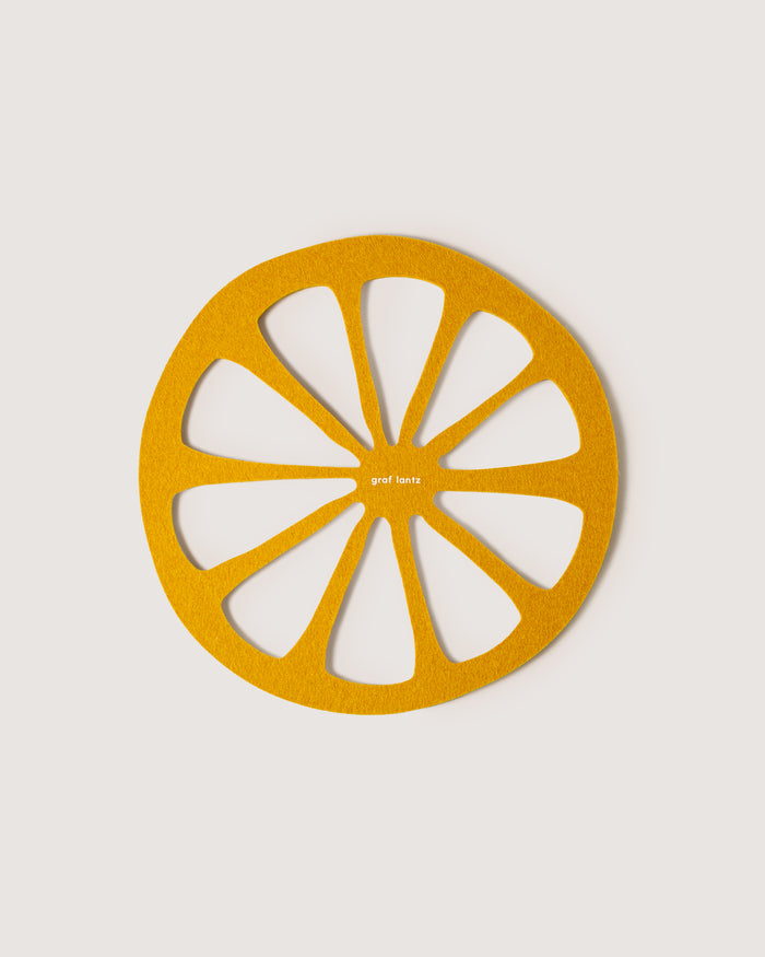 Large Round Wool Felt Trivets